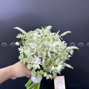 Hoa Cưới Astilbe mix Astrantia A360