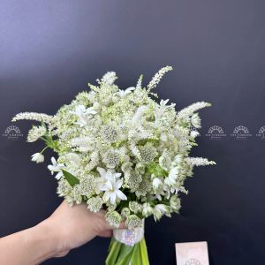 Hoa Cưới Astilbe mix Astrantia A360