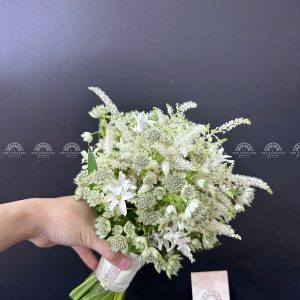 Hoa Cưới Astilbe mix Astrantia A360