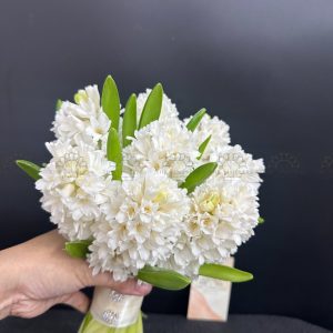 Hoa Cưới 8 Dạ Lan Hương Trắng A387