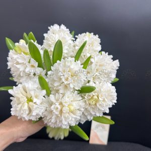 Hoa Cưới 8 Dạ Lan Hương Trắng A387