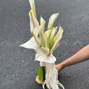 Hoa Cưới Hồng Môn Trắng mix Rum Đà Lạt A389