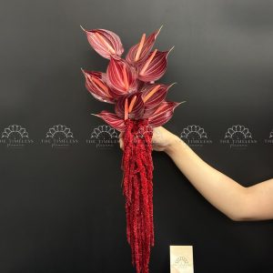 Hoa Cưới Hồng Môn Đỏ Rượu mix Dền Đỏ A394