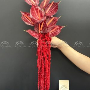 Hoa Cưới Hồng Môn Đỏ Rượu mix Dền Đỏ A394