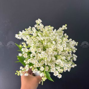 Hoa Cưới 50 Linh Lan A398