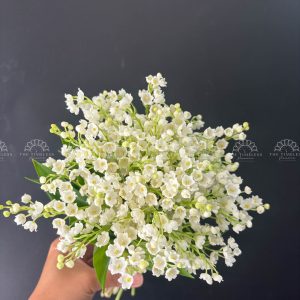 Hoa Cưới 50 Linh Lan A398