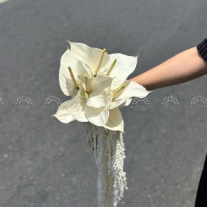 Hoa Cưới Hồng Môn Trắng mix Dền A413