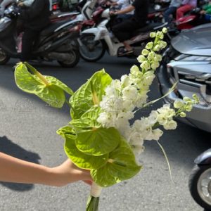 Hoa cưới Hồng Môn Mix Delphinium A427