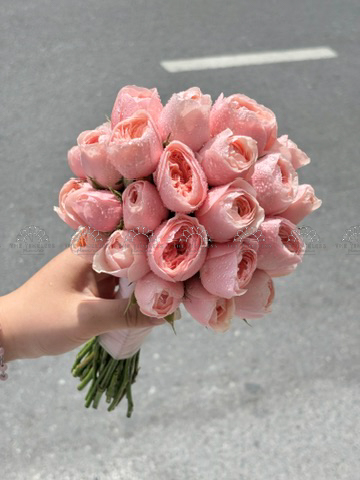 Hoa Cưới Hoa Hồng Juliet Hồng A443