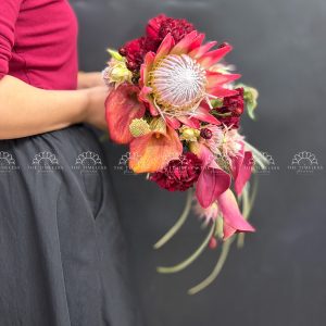 Hoa Cưới Thảo Đường Hoàng Đế - King Protea Đỏ - A467