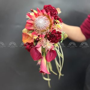 Hoa Cưới Thảo Đường Hoàng Đế - King Protea Đỏ - A467