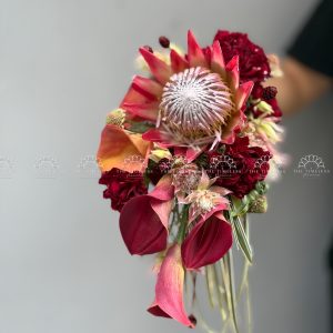 Hoa Cưới Thảo Đường Hoàng Đế - King Protea Đỏ - A467