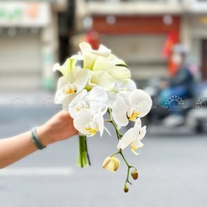 Hoa Cưới 5 Calla Lily mix Lan Hồ Điệp Trắng A482