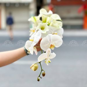 Hoa Cưới 5 Calla Lily mix Lan Hồ Điệp Trắng A482