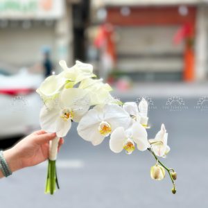 Hoa Cưới 5 Calla Lily mix Lan Hồ Điệp Trắng A482