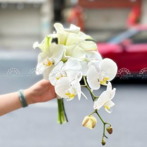 Hoa Cưới 5 Calla Lily mix Lan Hồ Điệp Trắng A482