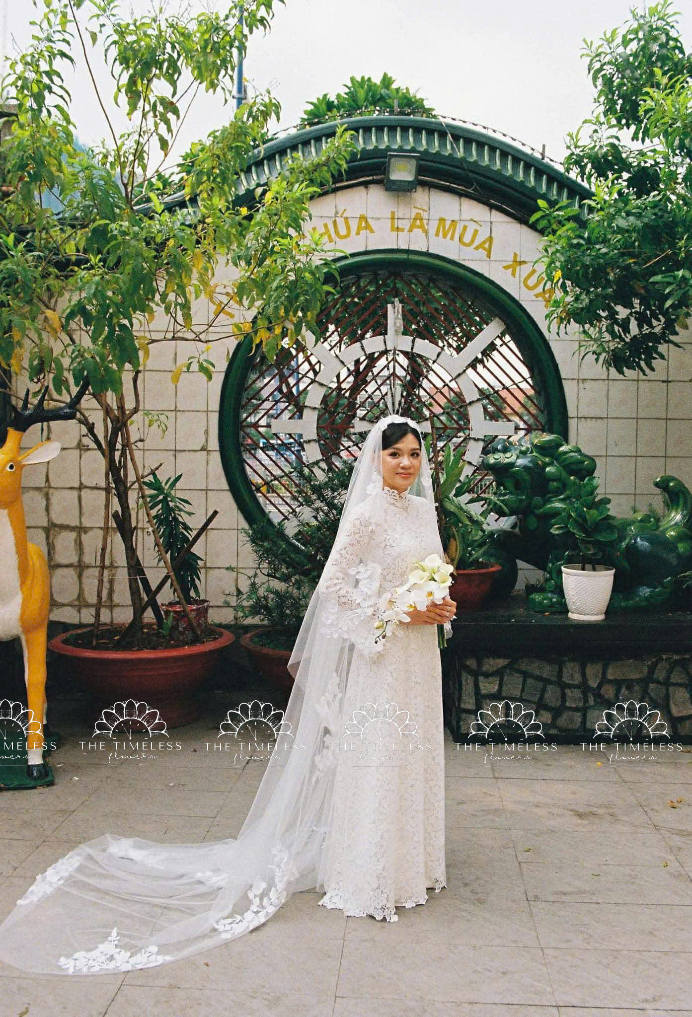 Hoa Cưới 5 Calla Lily mix Lan Hồ Điệp Trắng A482 - Hình ảnh 4