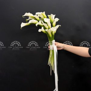 Hoa Cưới 20 Calla Lily Trắng - Hoa Rum Hà Lan A480
