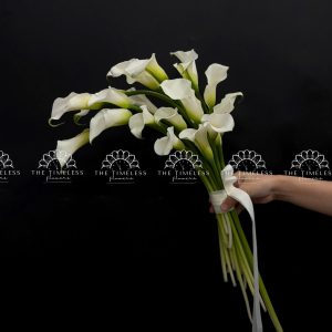 Hoa Cưới 20 Calla Lily Trắng - Hoa Rum Hà Lan A480