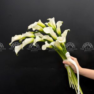 Hoa Cưới 20 Calla Lily Trắng - Hoa Rum Hà Lan A480