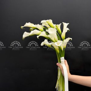 Hoa Cưới 20 Calla Lily Trắng - Hoa Rum Hà Lan A480