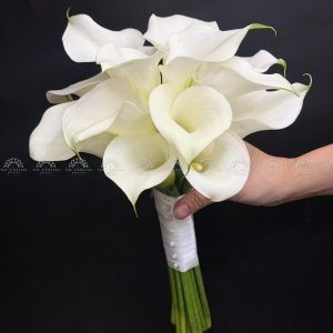 Hoa Cưới 15 Calla Lily Trắng - Hoa Rum Hà Lan A475