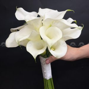 Hoa Cưới 15 Calla Lily Trắng - Hoa Rum Hà Lan A475