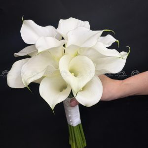 Hoa Cưới 15 Calla Lily Trắng - Hoa Rum Hà Lan A475