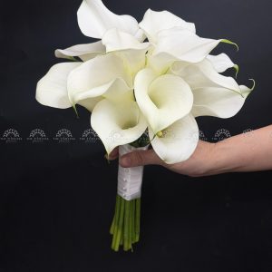 Hoa Cưới 15 Calla Lily Trắng - Hoa Rum Hà Lan A475