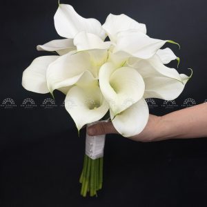 Hoa Cưới 15 Calla Lily Trắng - Hoa Rum Hà Lan A475