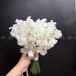 Hoa Cưới Đậu Thơm Sweet pea Nhật Bản A456