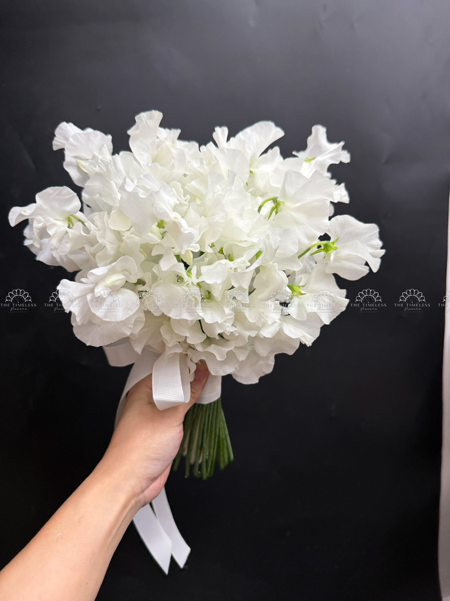 Hoa Cưới Đậu Thơm Sweet pea Nhật Bản A456