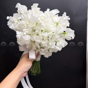 Hoa Cưới Đậu Thơm Sweet pea Nhật Bản A456