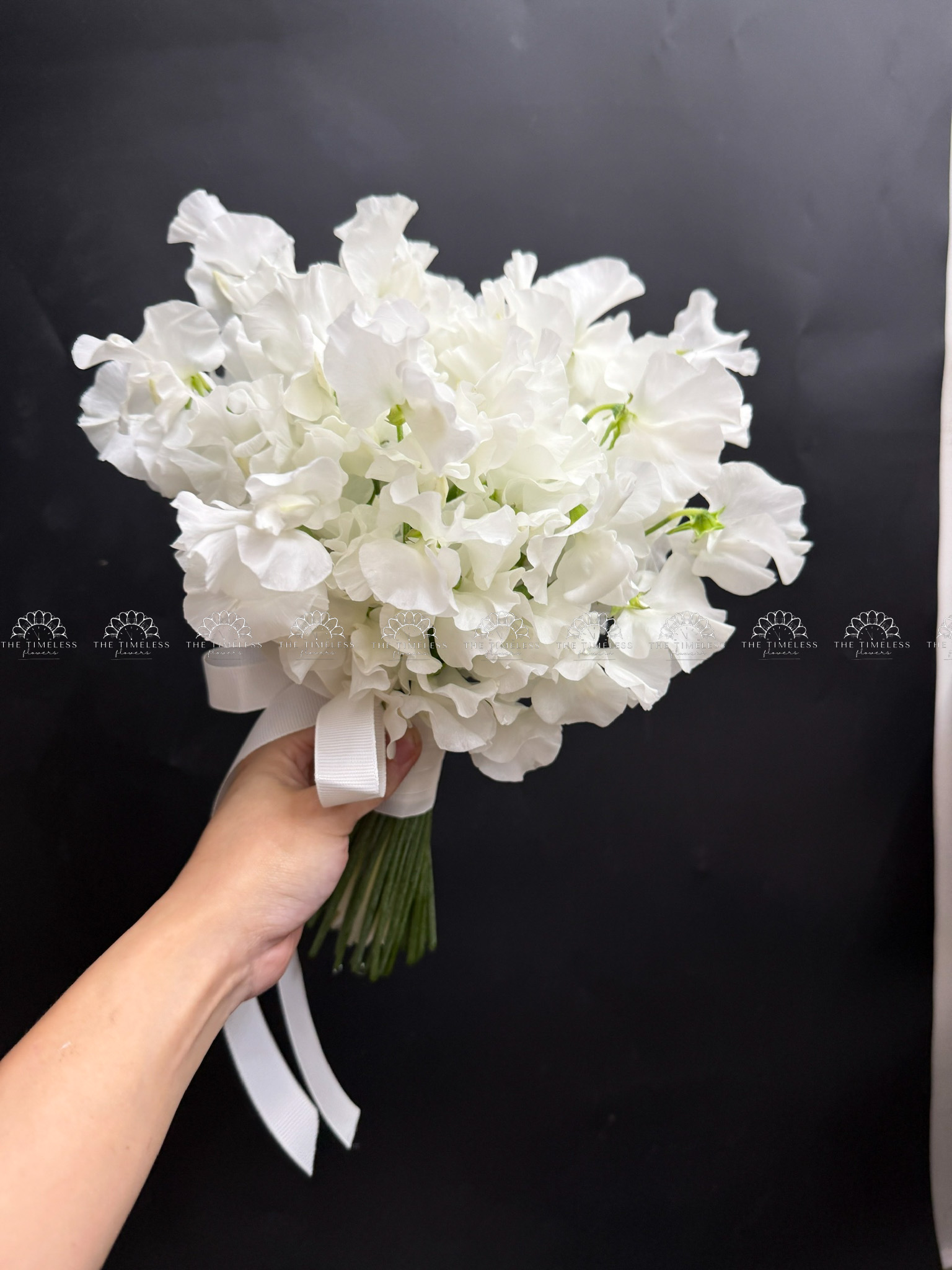 Hoa Cưới Đậu Thơm Sweet pea Nhật Bản A456