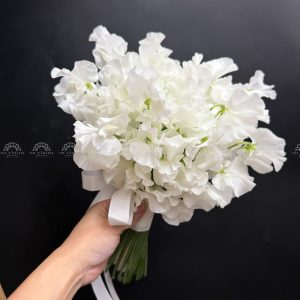 Hoa Cưới Đậu Thơm Sweet pea Nhật Bản A456