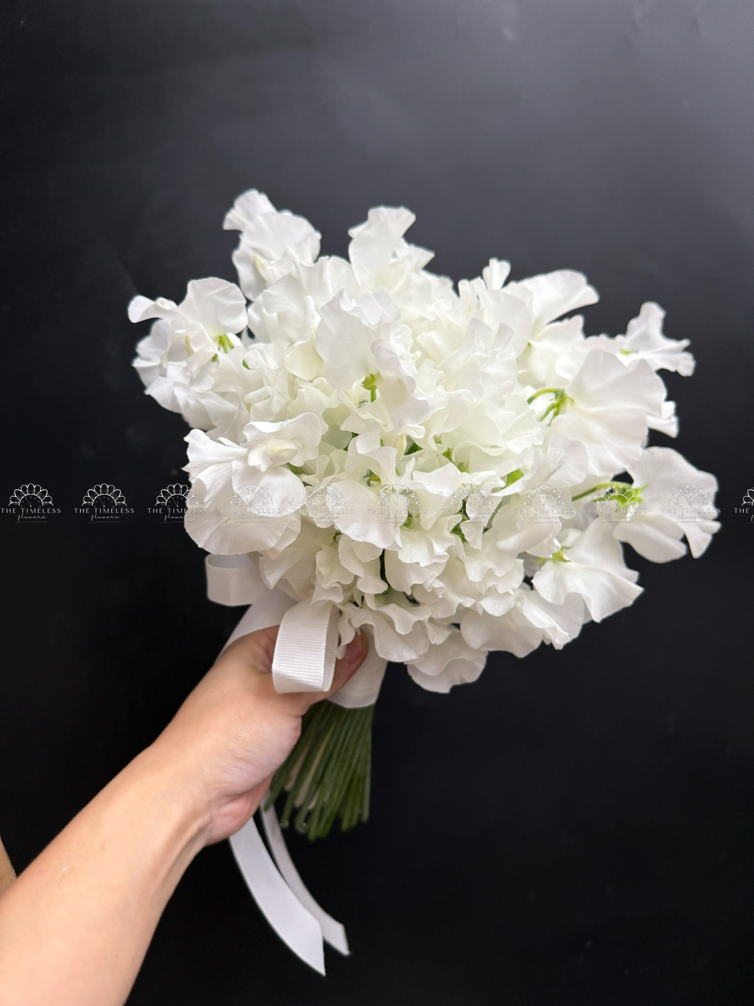 Hoa Cưới Đậu Thơm Sweet pea Nhật Bản A456