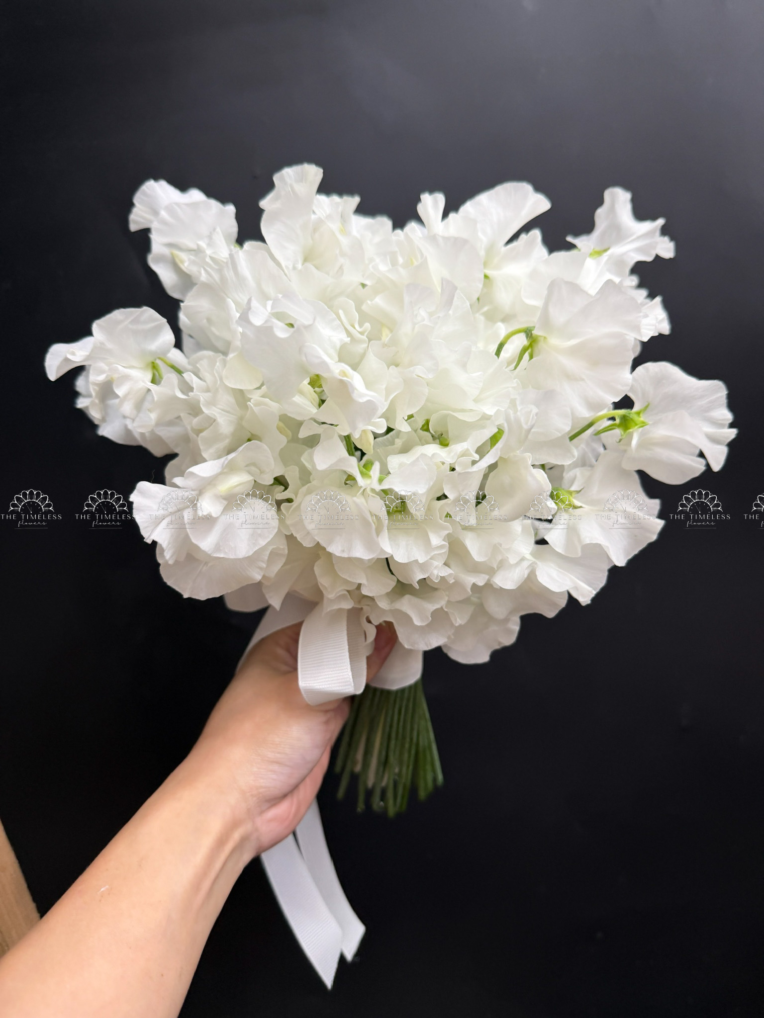 Hoa Cưới Đậu Thơm Sweet pea Nhật Bản A456