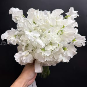 Hoa Cưới Đậu Thơm Sweet pea Nhật Bản A456