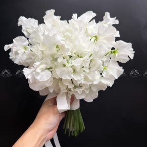 Hoa Cưới Đậu Thơm Sweet pea Nhật Bản A456