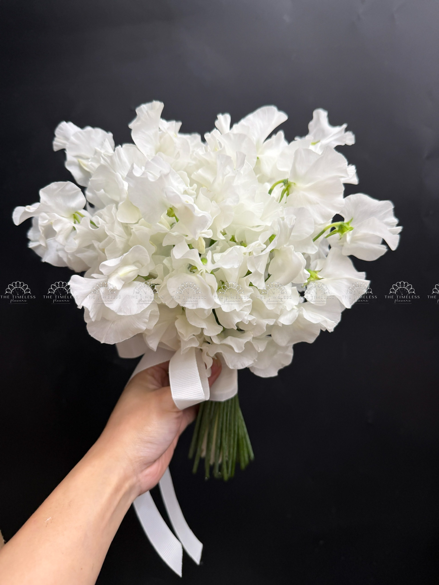 Hoa Cưới Đậu Thơm Sweet pea Nhật Bản A456