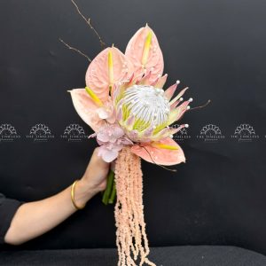 Hoa Cưới Thảo Đường Hoàng Đế - King Protea Hồng - A500
