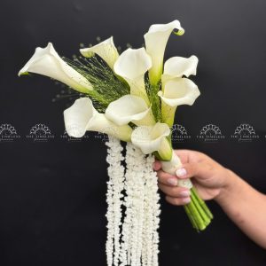 Hoa Cưới Calla Lily - Rum Hà Lan Trắng A497
