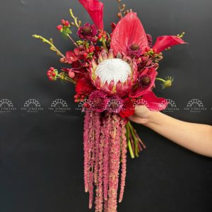 Hoa Cưới Thảo Đường Hoàng Đế - King Protea Đỏ - A513